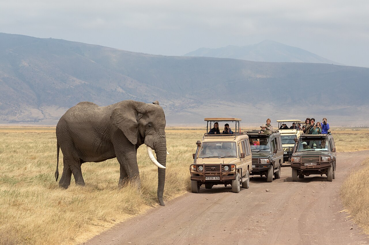 Nature of Ngorongoro Conservation Area (129)