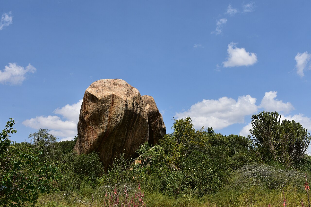 Serengeti landscape (1) ()
