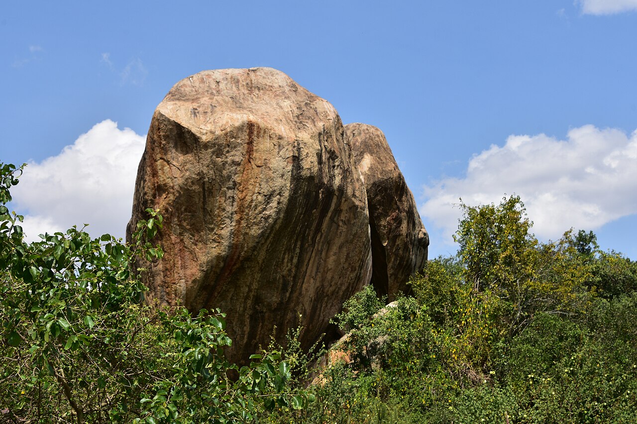 Serengeti landscape (9) ()